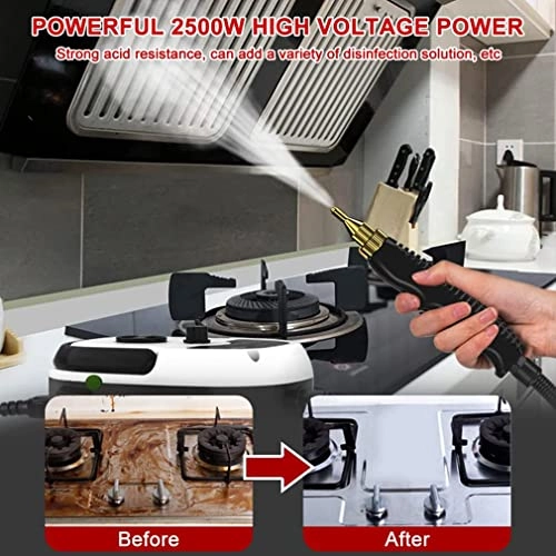 High Pressure Steam Cleaner - 3.0bar 1L