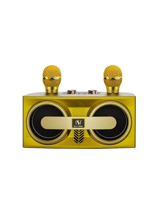 M25 - Wireless Bluetooth Karaoke System