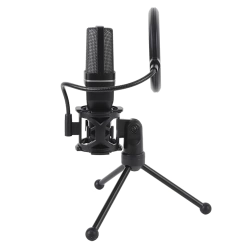 Annadues6425axq0n USB+Wireless Microphone