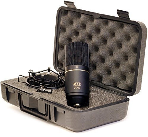 770 XLR Microphone