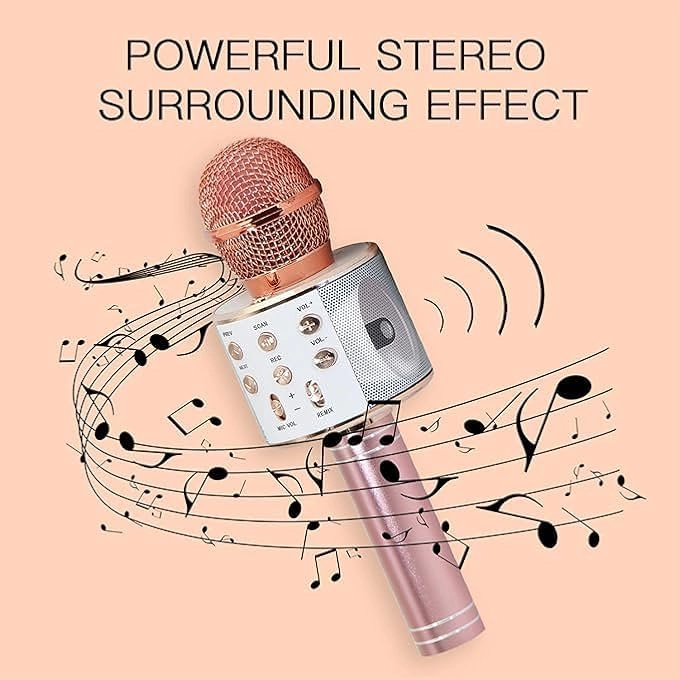 WIRELESS BLUETOOTH MICROPHONE