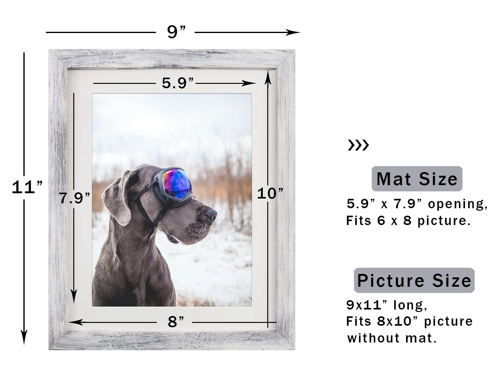 Single Picture Frame - 8x10 1