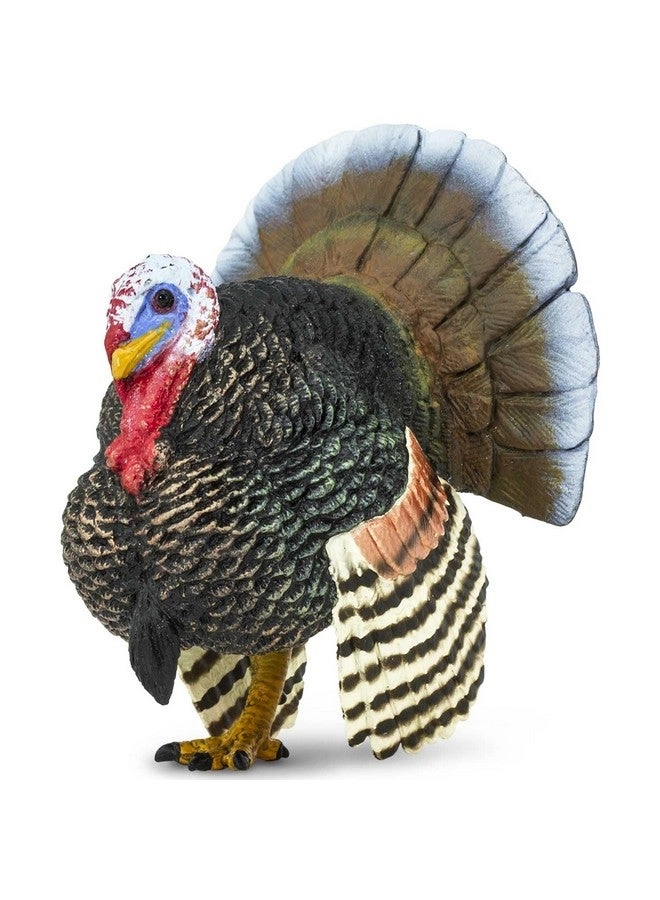 Thanksgiving - Turkey