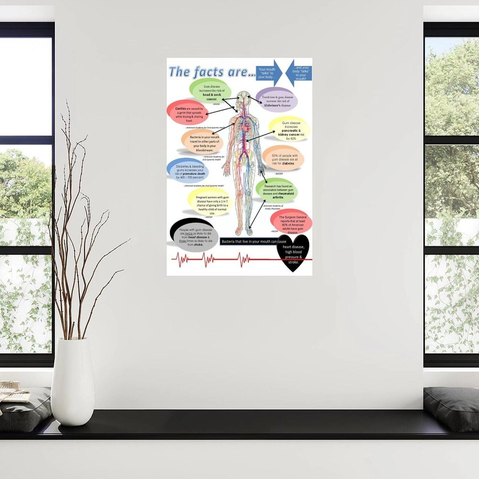 Dental Poster - 12x18inch(30x45cm)
