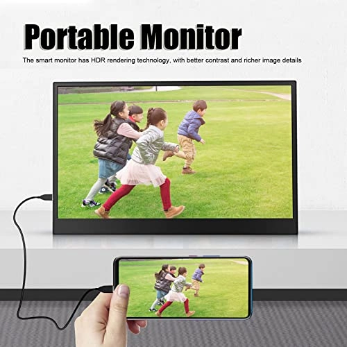 Portable Monitor - 17.3in 1600x900
