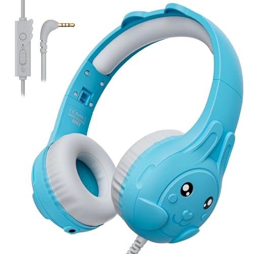 H41 Wired Headphone