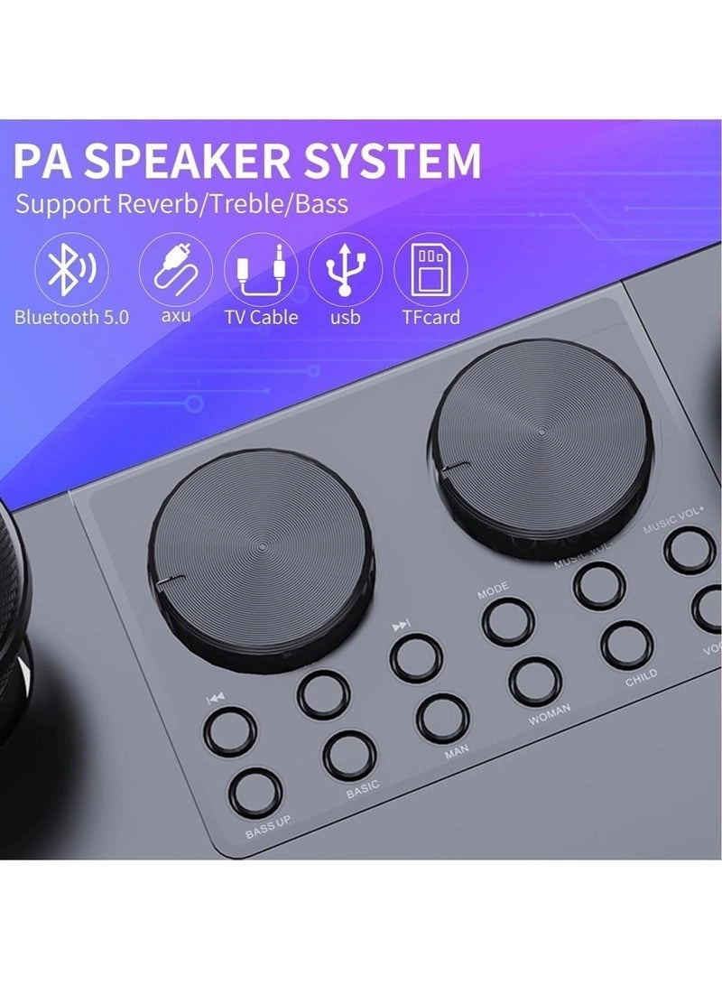 M25 - Wireless Bluetooth Karaoke System