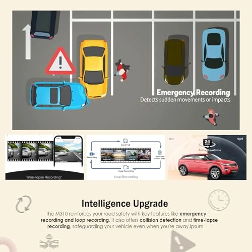 M310 2304 X 1296 pixels