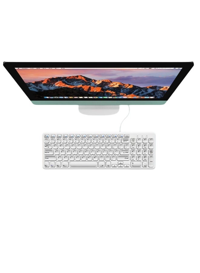 Rainbow Light-104 - Wired