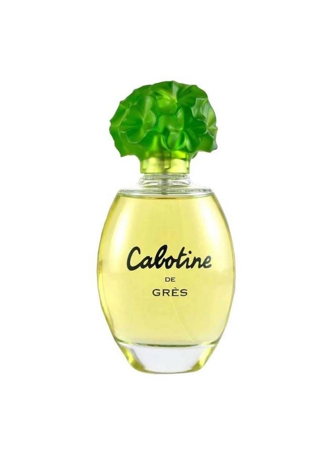 Perfume For Women Eau de Toilette 100ml