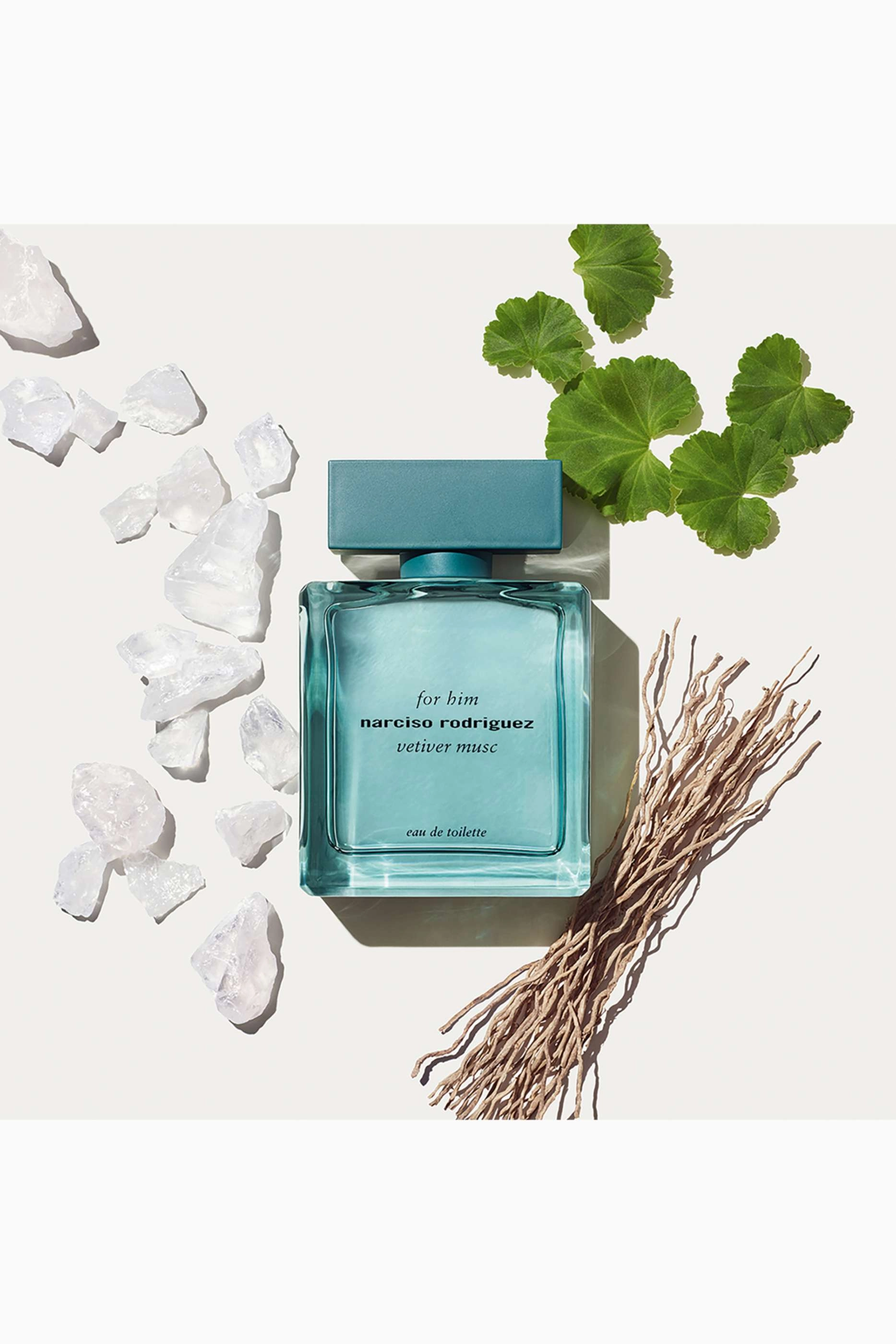 Vetiver Musc Eau de Toilette 100 ml