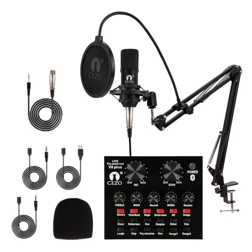 BM 800 XLR+3.5mm-Mini-Jack Microphone
