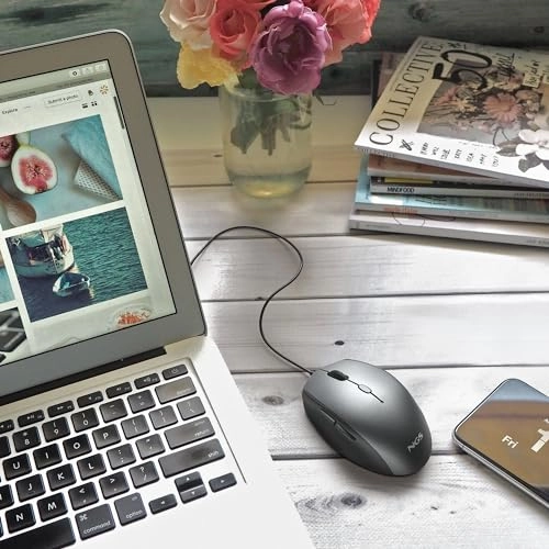 Moth Gray Optical Mouse - USB
