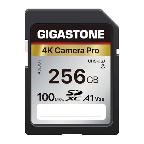 Gigastone SDXC Memory Card - 256GB