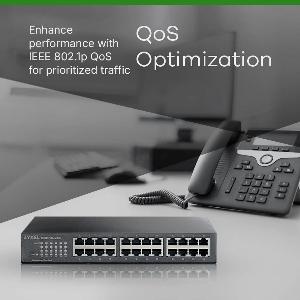 GS1100-24E 24-ports