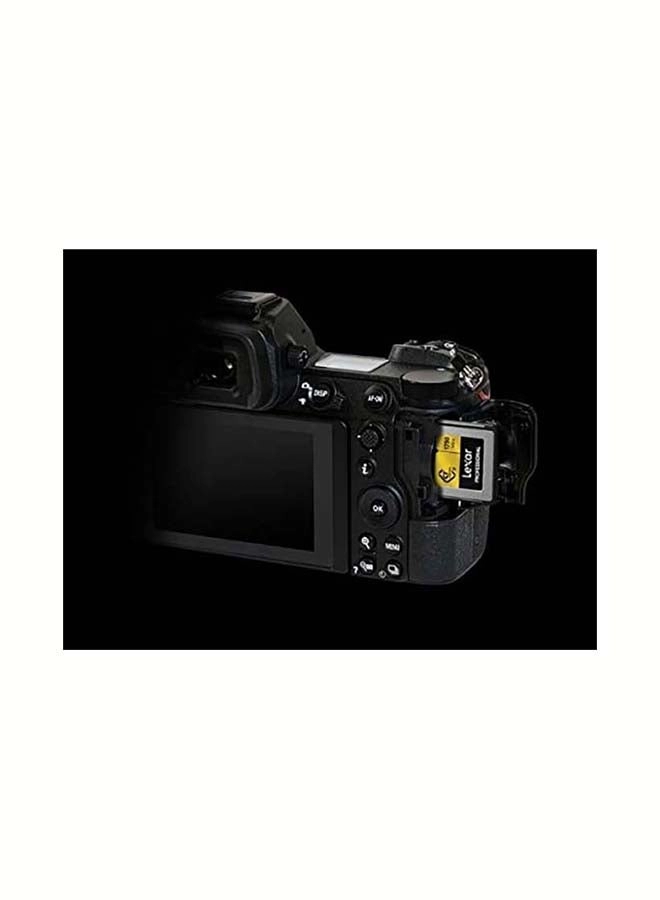 Professional Cfexpress Type B - 256GB