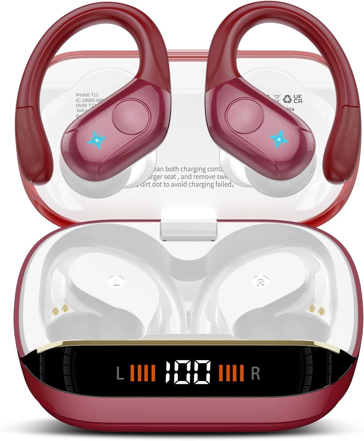 BESING TECHNOLOGY(SHENZHEN) COLTD T12 Wireless Earbud