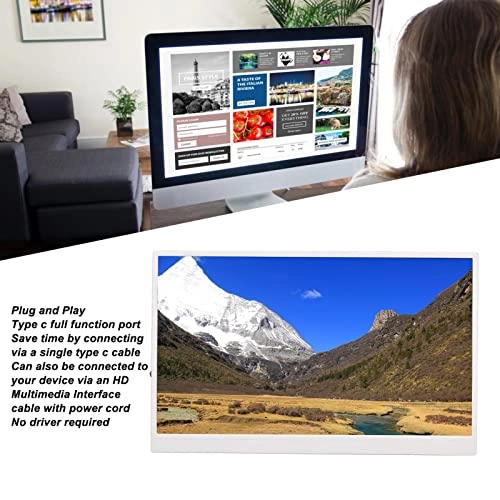 Portable Monitor - FHD 1080p 17.3 Inches