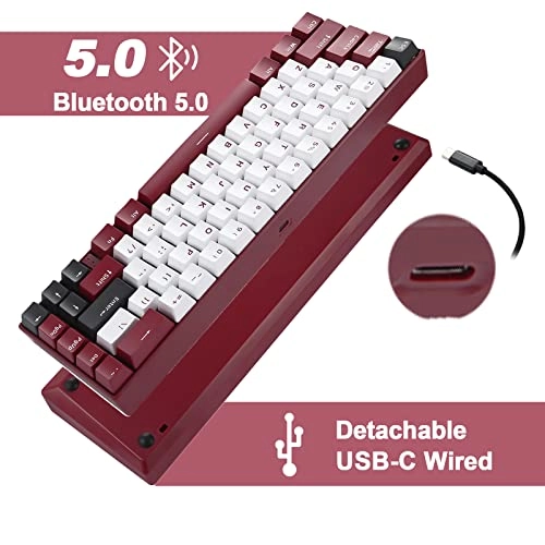 BK67 - Wired/Wireless