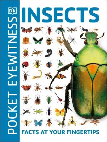 Dorling Kindersley Ltd Pocket Eyewitness Insects - 160 pages 2018