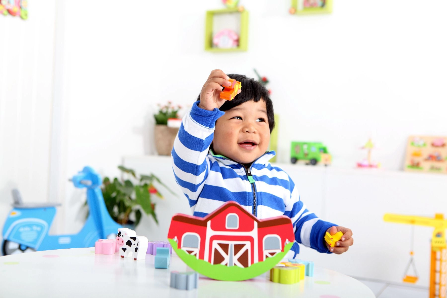 Farm Balancing - 11 pcs 1 pc (DBT-L50065)