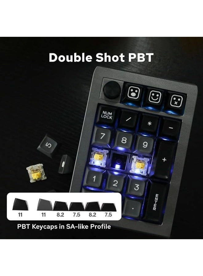 EK21 - Flamingo Switch