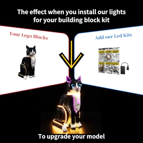 LED Lighting Kit for LEGO 21349