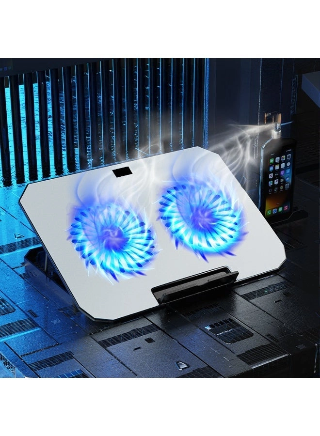 CF-12 - Dual 17 inch