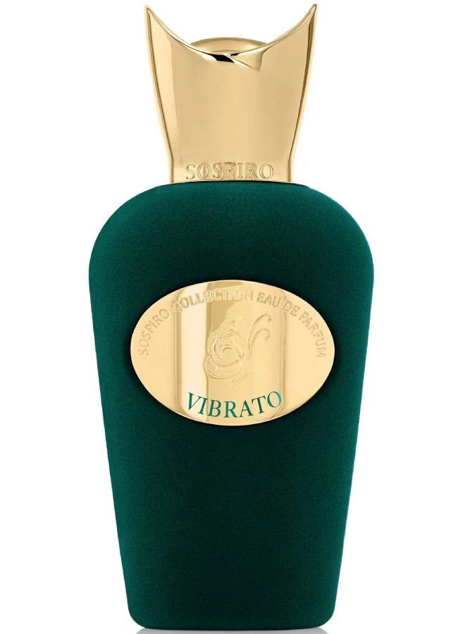 Vibrato Eau de Parfum 100 ml