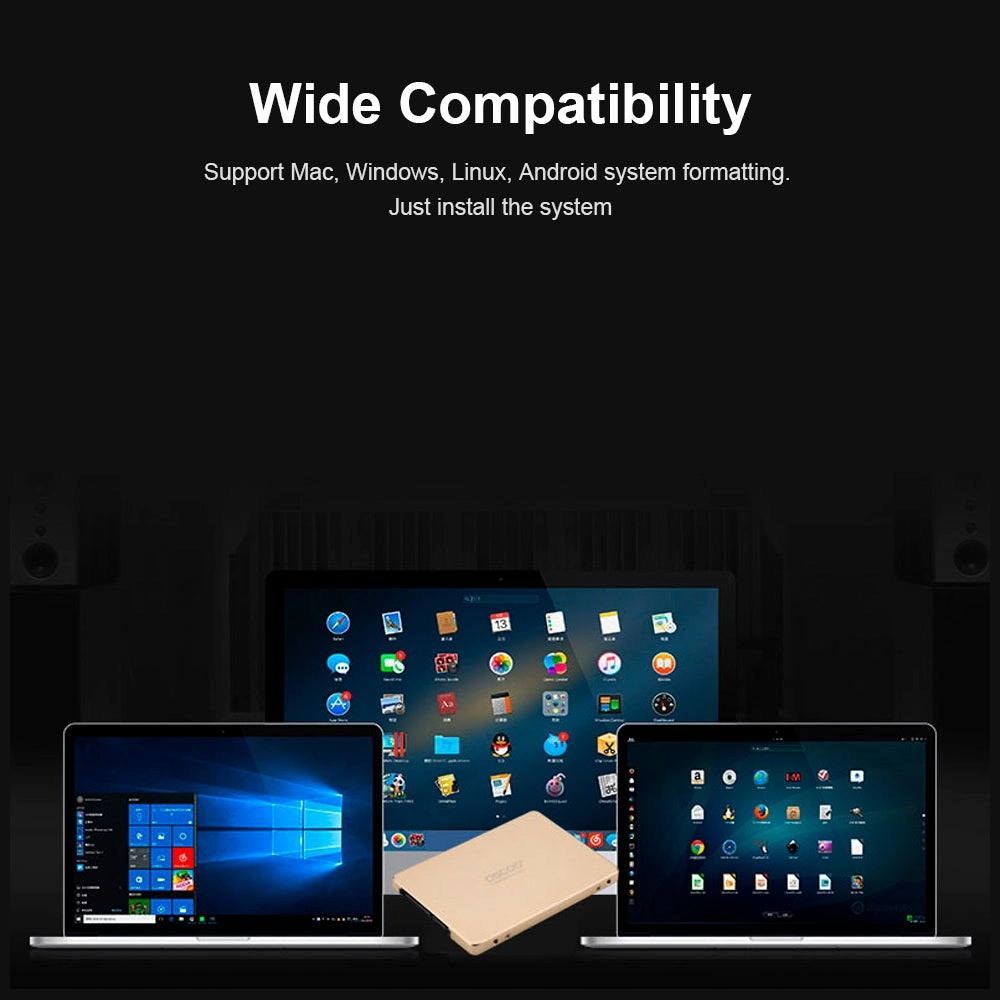 Solid State Disk - 256GB 2.5-inch