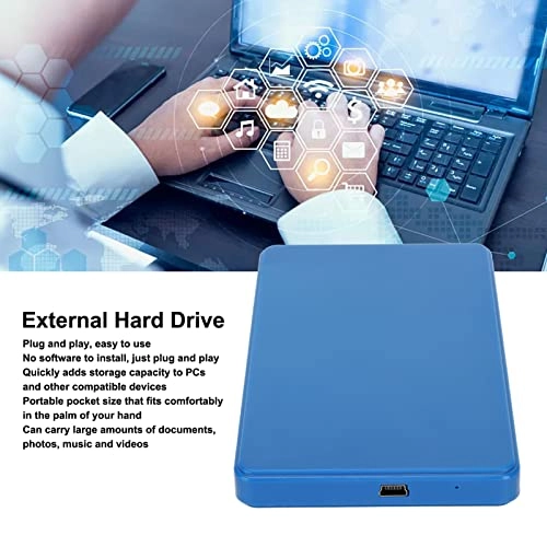 External Hard Drive - 80GB