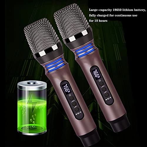 UHF Dual Frequency Wireless Handheld Microphone + Receiver - 2 Microphone