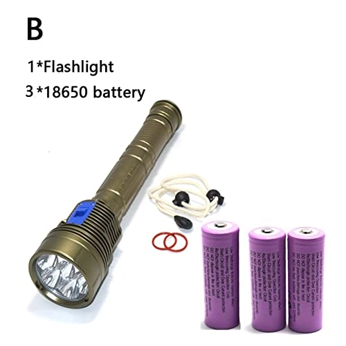 Professional Submersible Light