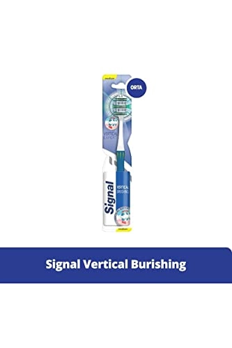 Vertical Expert - Medium