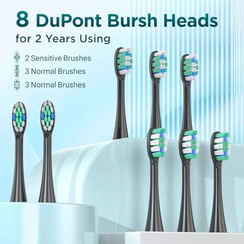 Y02 - 5 Modes 40000VPM 8 Brush Heads