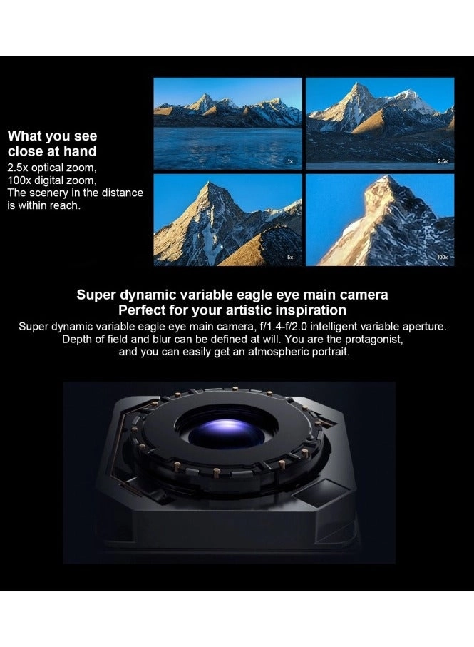 Magic6 Pro - 16GB 1TB