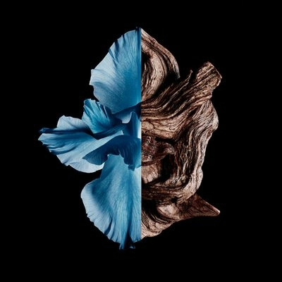 Gentleman Intense Eau de Toilette 100 ml