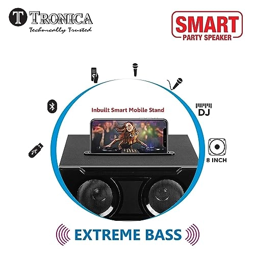 PS-02 - 2 microphones 130W