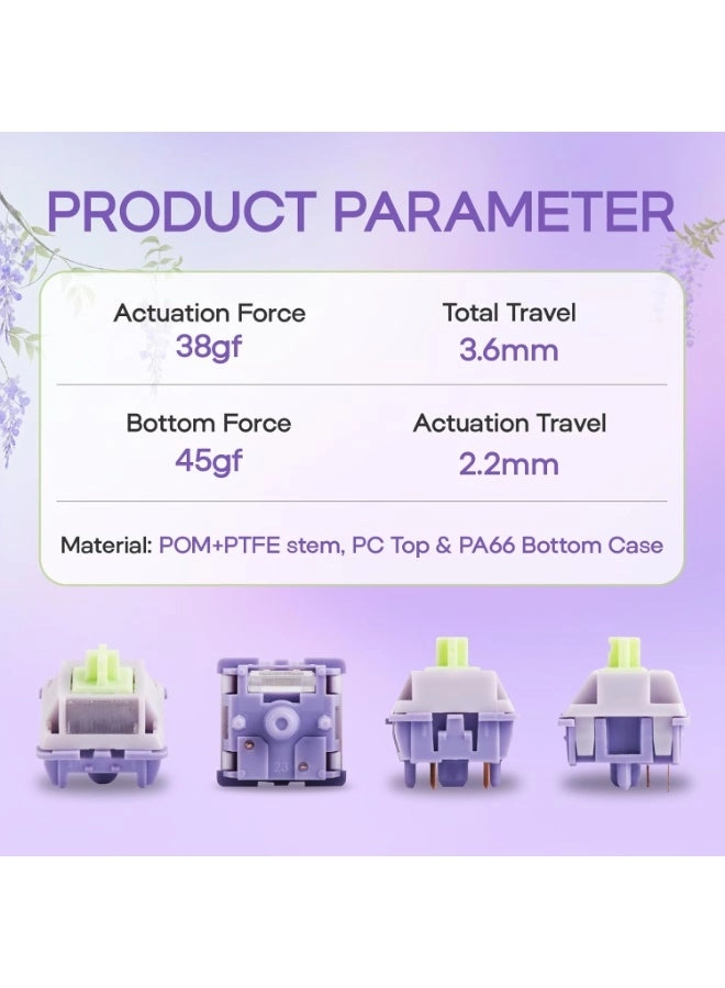 Wisteria V2 - 35 Pieces