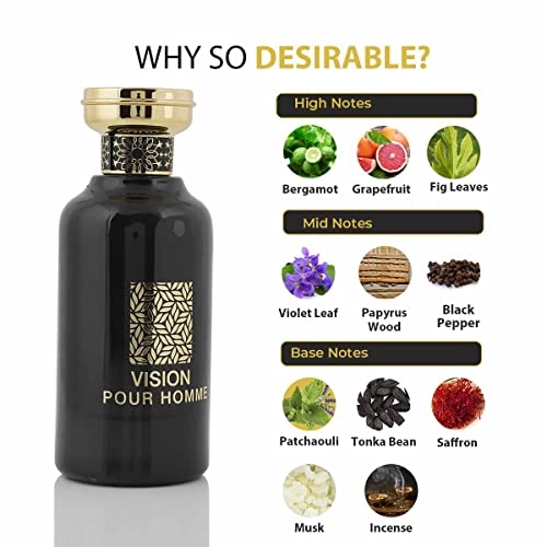 VISION POUR HOMME - Eau de Parfum 100ml