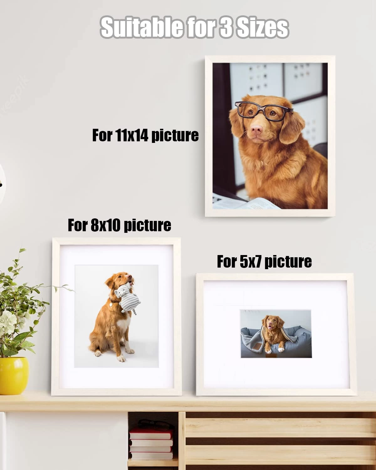 Picture Frame - 11x14