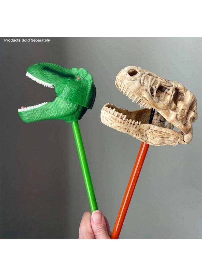 T-Rex Skull Snapper - 3 years+