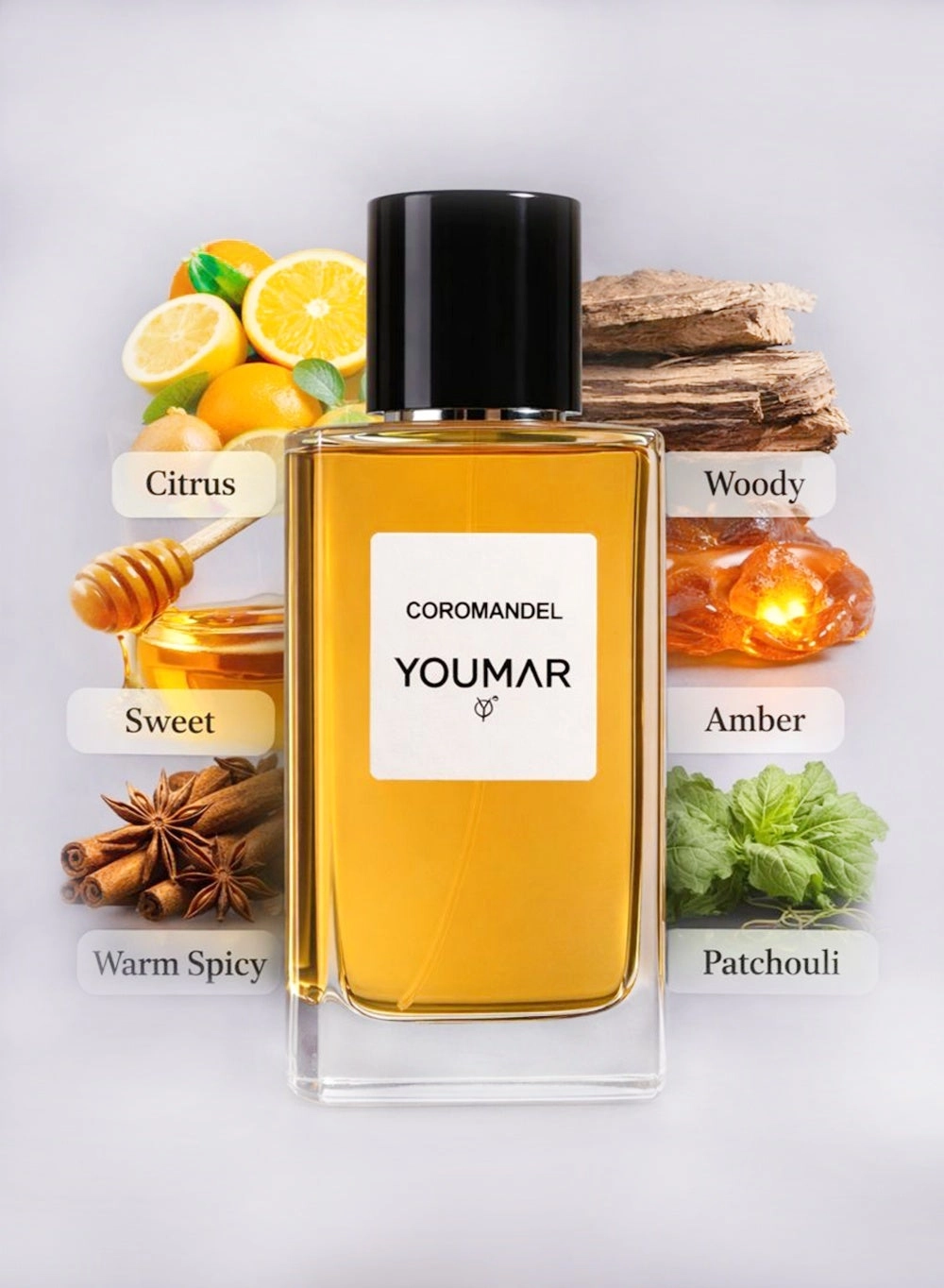 Coromandel No. 0099 - 100ml