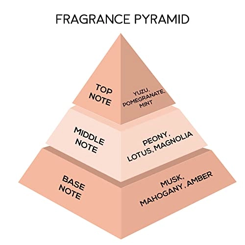 Muse Eau de Parfum - 100ml