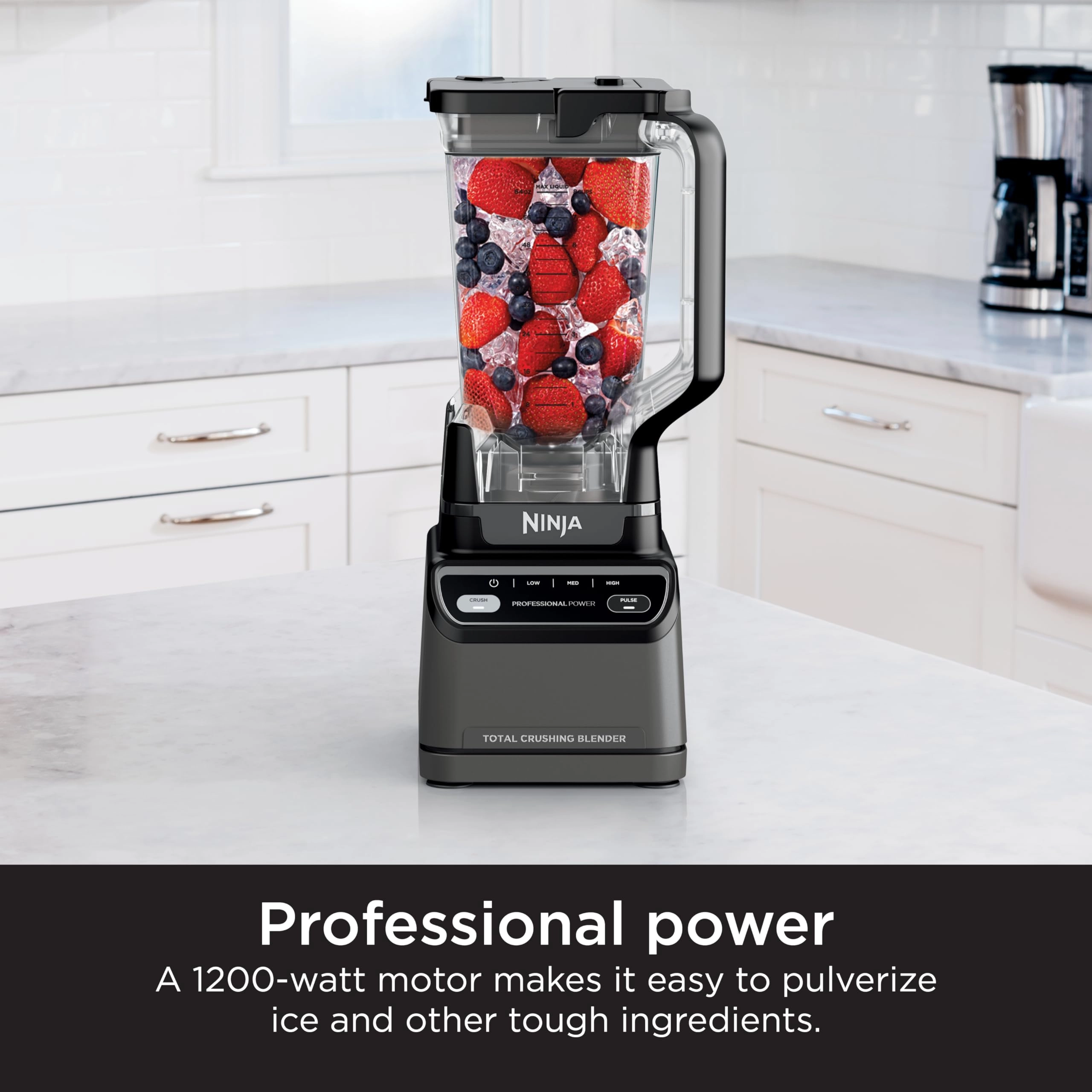 Professional Blender 2.0 - 1200W