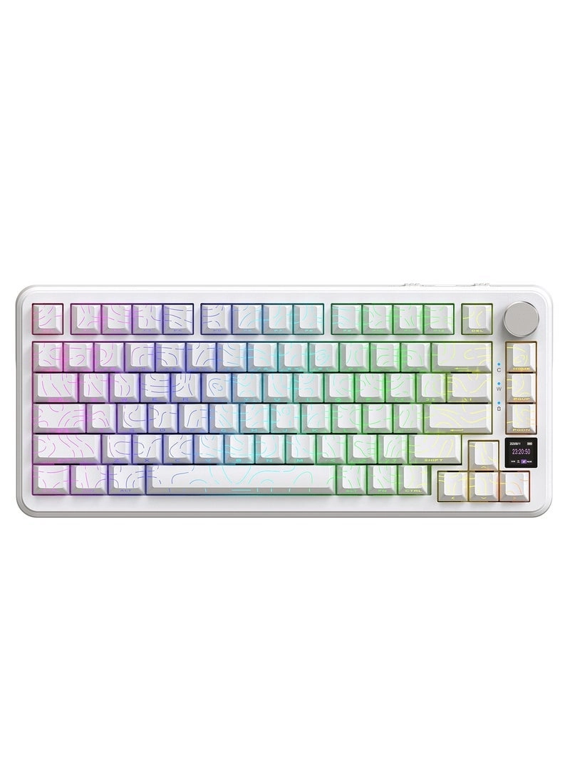 AK820PRO - EN Wired/Wireless