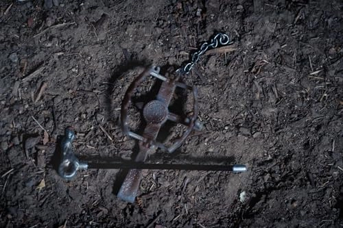 WOLFMAN - Universal Monsters - 23 cm