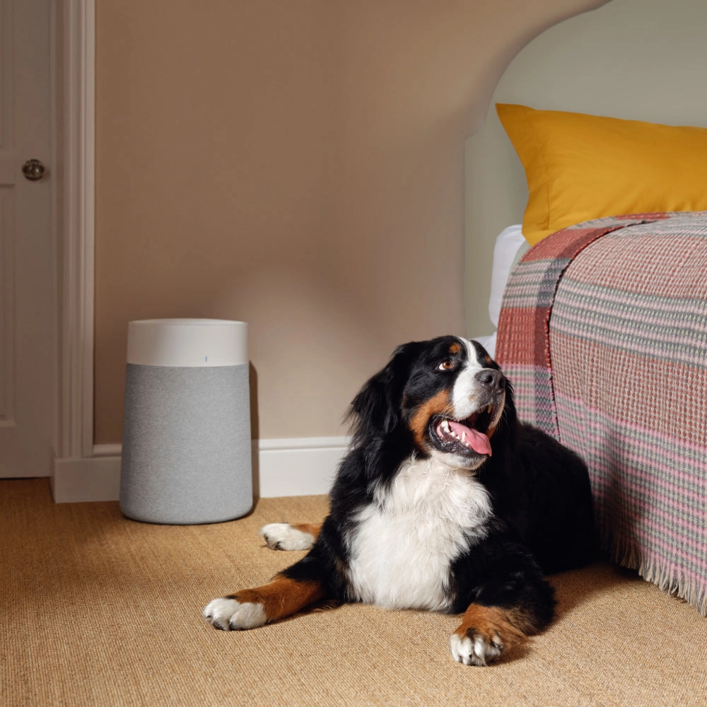 Blue Pure 3450i Max - 43 sq. m 38 W