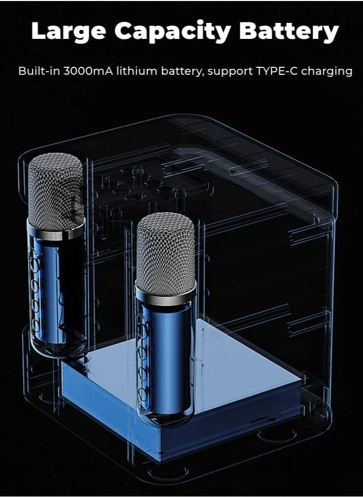 KTS-1000 - 2 Wireless Mics