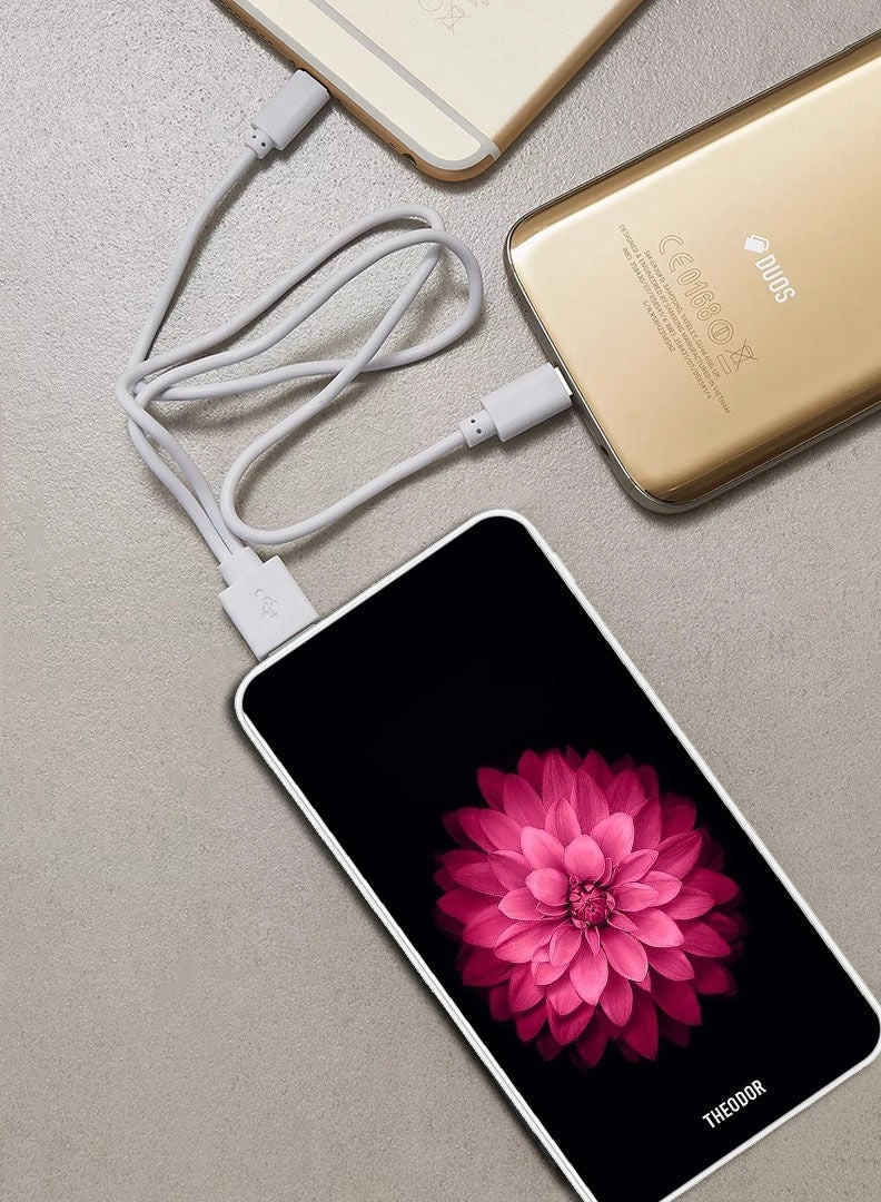 PPBA438 - 10000 mAh 18W